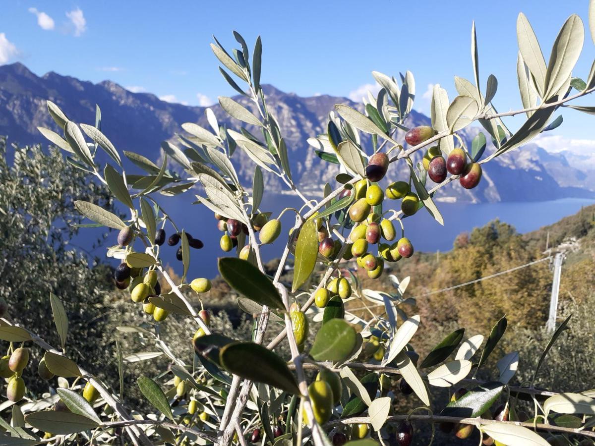 Appartamento Leccino Malcesine Exterior foto
